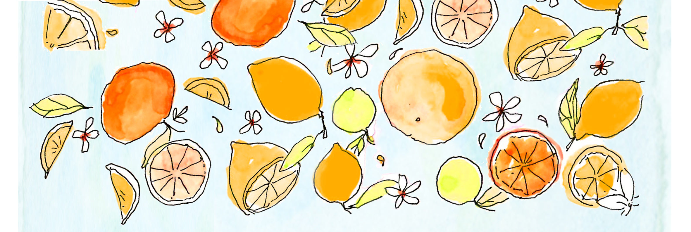 Illustration of lemons, orange slices and orange blossoms