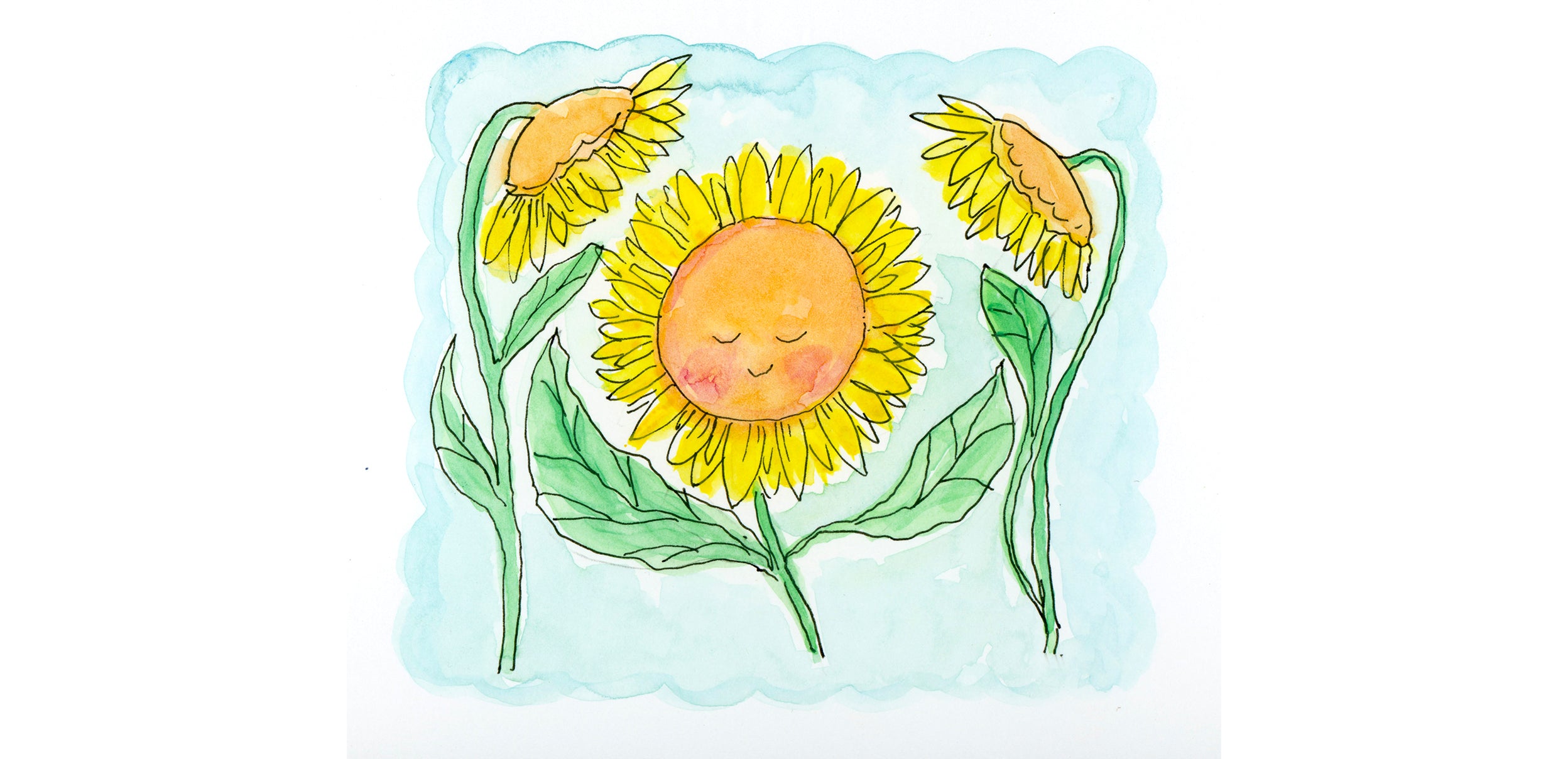 Illustration of Sunflowers